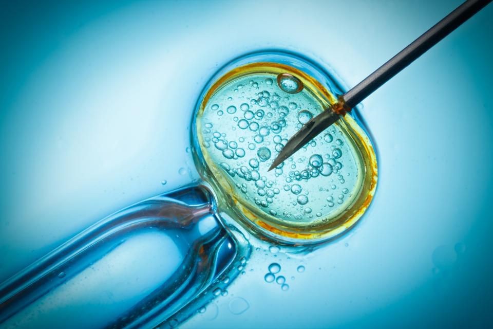 一般多久才会知道自己怀孕了 一般多久能知道自己怀孕